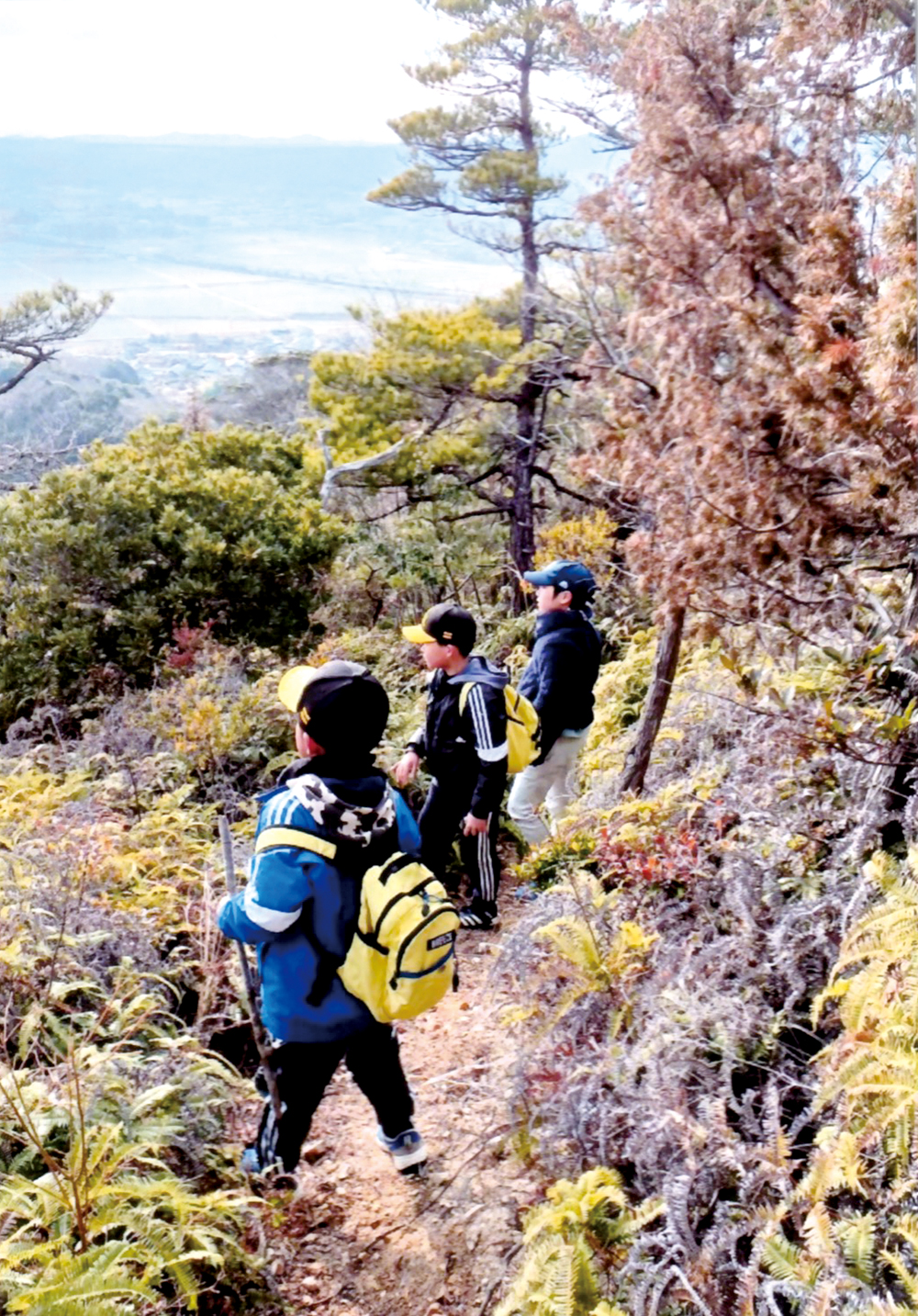 うちはどこかなぁ?