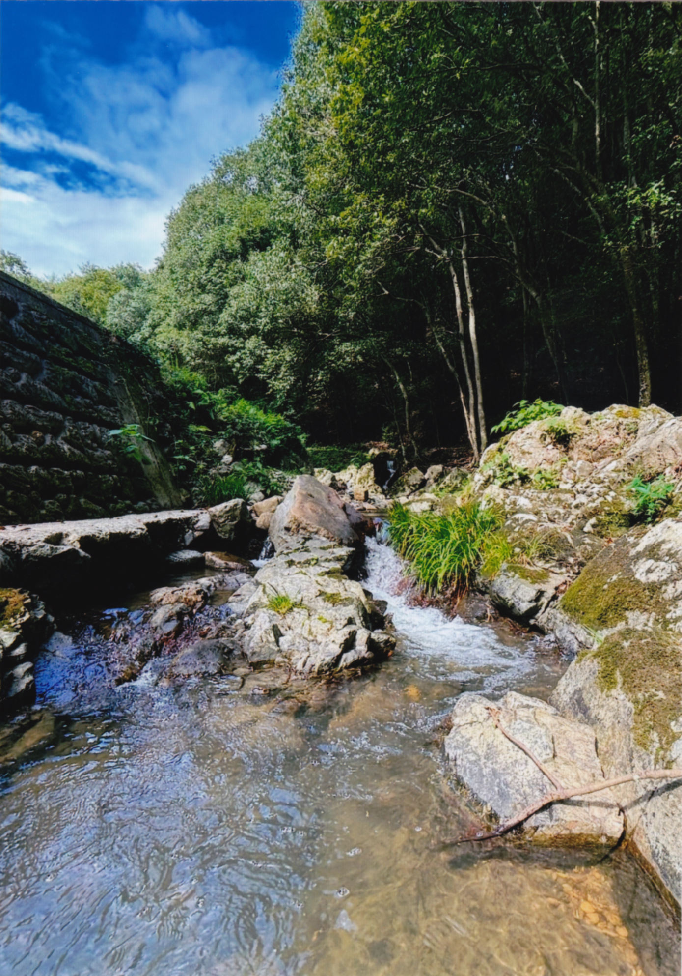 夏の沢（東本郷）