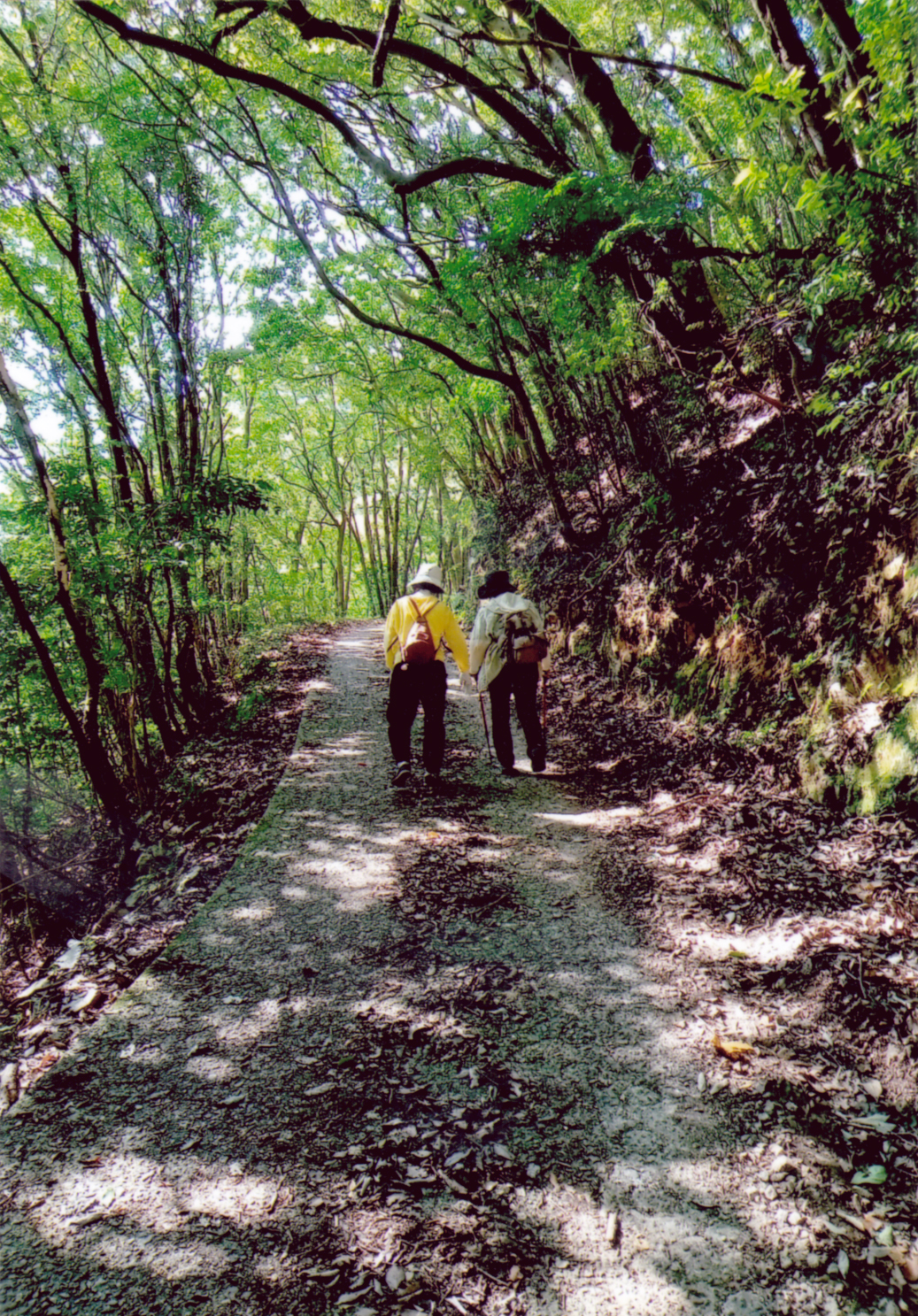 森林浴をゆっくり！ゆっくり！